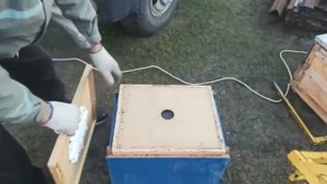 Работа изолайдера в пчеловодстве