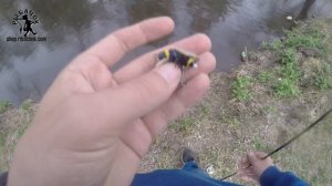 Шмель – лучший воблер жук на голавля весной