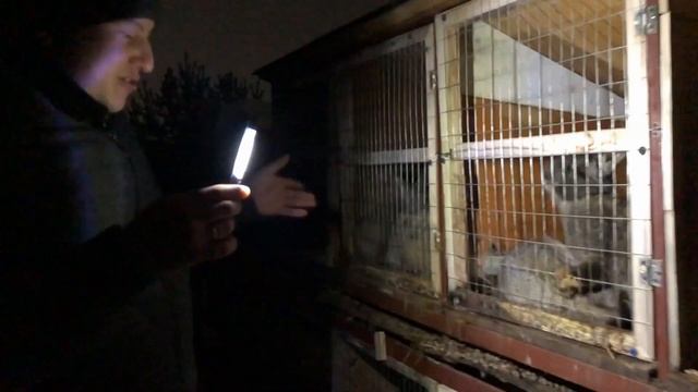 Содержание кроликов зимой в уличных клетках/ как кролики пережили морозы в -30 смотреть онлайн