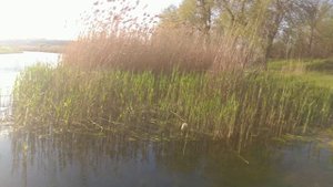 6 мая 2021 г. Новоникольское. Сватовский рн. Луганская область.