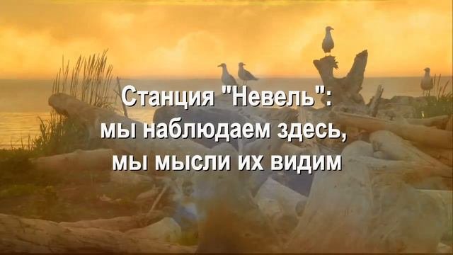 Невель - станция связи в Тонком мире (ТМ) | ФЭГ | Инструментальная транскоммуникация