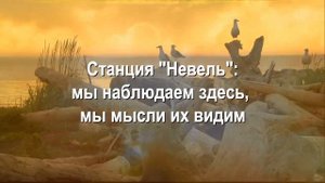 Невель - станция связи в Тонком мире (ТМ) | ФЭГ | Инструментальная транскоммуникация