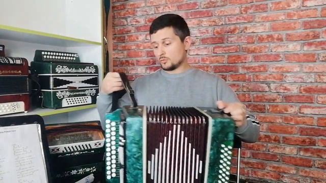 Гармонь Ивушка Чайка Кировская Обзор Демонстрация