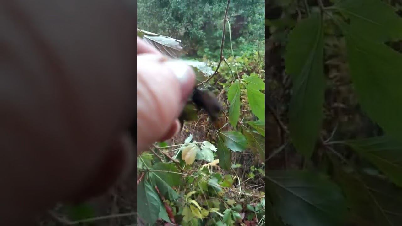 23 сентября 2022 г. смотреть онлайн