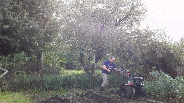 Мотоблок Угра на колёсах "Патриот" с картофелевыкапывателем КВ-3 смотреть онлайн