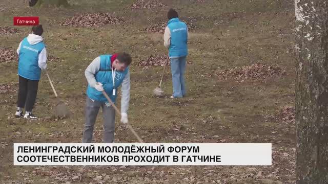 Ленинградский молодежный форум соотечественников проходит в Гатчине