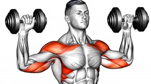 Оптимальная тренировка плеч: Комплекс упражнений для развития объемных дельтовидных мышц