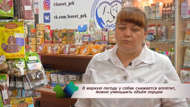 Про зверей и людей | Выпуск №11 смотреть онлайн