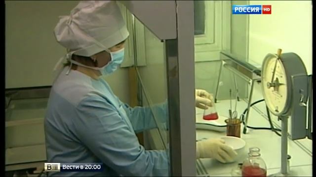 ВЕСТИ О ВРЕДЕ МЯСА [репортаж]