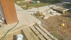 Натухаевская, КП Серенада, в гостях у Наташи в Анапе. Огород.