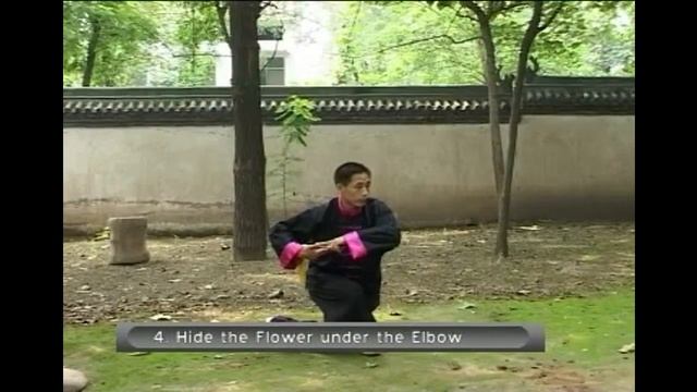 Тайцзи Чэнь, меч Цзянь 4 смотреть онлайн