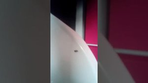 полная разборка детского стульчика для кормления  Bloom Fresco