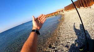 Кефаль на фидер Черное море
