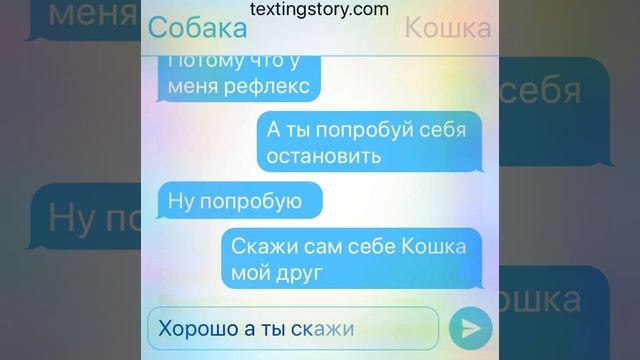 Переписка Кошки и Собаки смотреть онлайн