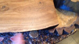 Доски для подачи сыра и мясной нарезки из косого спила дуба