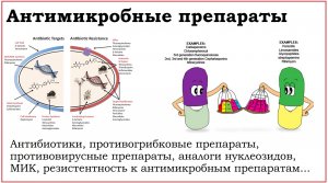 16. Антимикробные препараты