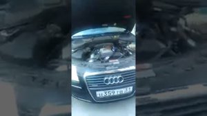 Крыса под капотом