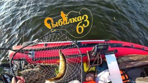 Наконец-то трофейная щука, рыбалка на спиннинг с эхолотом Lowrance