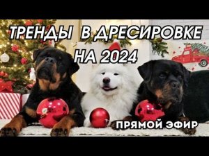 ТРЕНДЫ В ДРЕССИРОВКЕ на 2024 прямой эфир⚡️