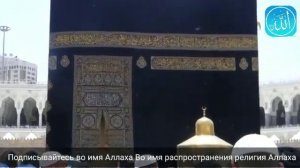 Можно ли проводить никах БЕЗ СВИДЕТЕЛЕЙ?