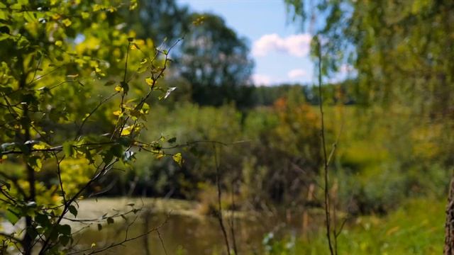 Железня 89 смотреть онлайн