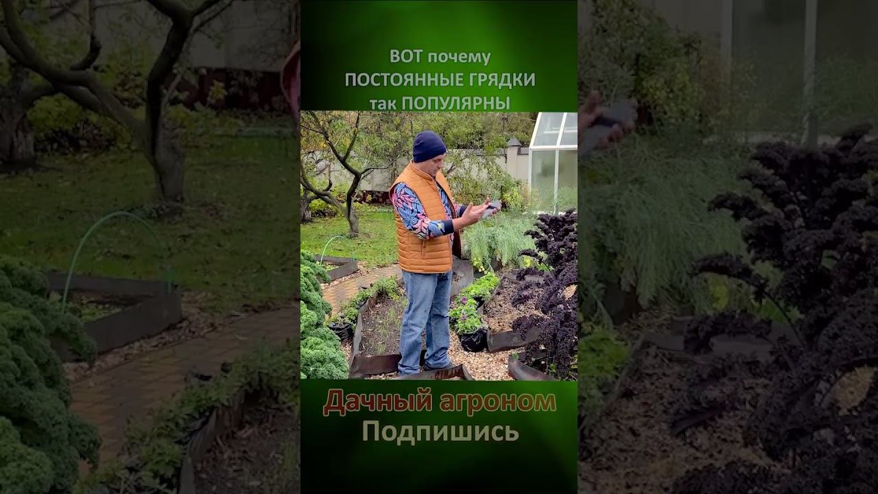 Полезная КРАСОТА ВОТ почему ПОСТОЯННЫЕ ГРЯДКИ так ПОПУЛЯРНЫ Дачный агроном