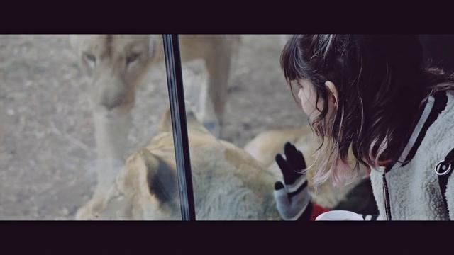 Cinema Journal 26 - Panasonic G7 смотреть онлайн