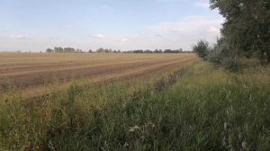 15 Га. Сельхоз земли. Зачем ?