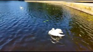 Центральная набережная Брест, прогулка по городу, часть 5