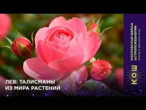 16+ ЛЕВ талисманы из мира растений