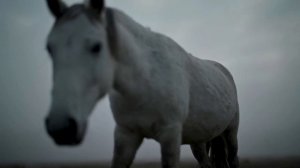 Relax video. Видео для умиротворения. Видео для Релакса. Смотреть перед сном