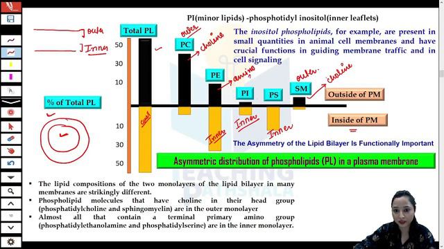 Plasma Membrane | Master class-6