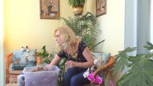 КОРА для орхидей. Что с ней нельзя делать?! Мое мнение.