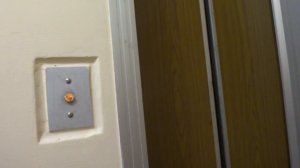 Электрические лифты V=1 м-с, грузоподъемность 320, 500 кг (2678)