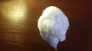 Как вылупить яйцо фазана в домашних условиях (Без инкубатора)