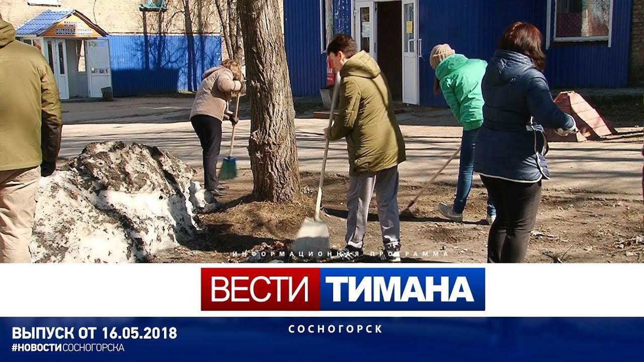 Сетевой сосногорск