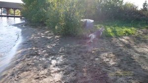 Отдых в Степаново на Воткинском водохранилище