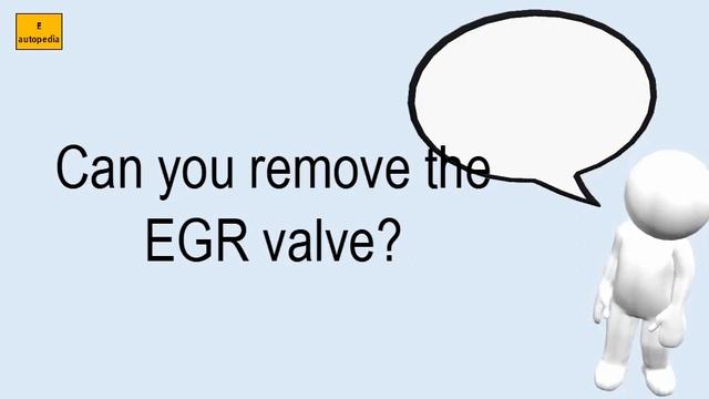 Can You Remove The EGR Valve? смотреть онлайн