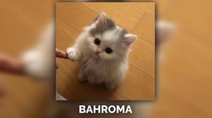 bahroma - пока-пора (#speedupsongs)