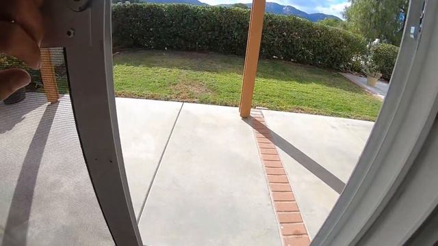 Corte Camellia walkthrough смотреть онлайн