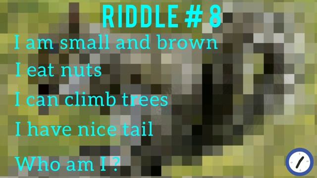 Animal riddles/riddles/Animal names смотреть онлайн