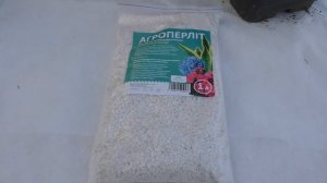 Размножение ГОРТЕНЗИИ от А до Я. Как правильно черенковать, укоренять метельчатую гортензию?