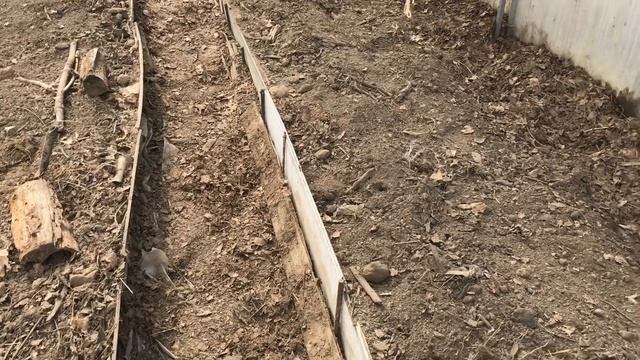 Самоизоляция и самовыживание на даче