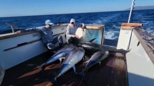 21.07.2022. ЛОВИМ БОЛЬШОГО ТУНЦА!