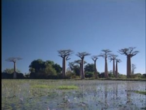 Семь чудес света