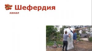 Ветрозащитное повышение зимостойкости плодовых