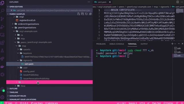 Hyperledger Fabric - Peer certificate renewal | ADITYA JOSHI | смотреть онлайн