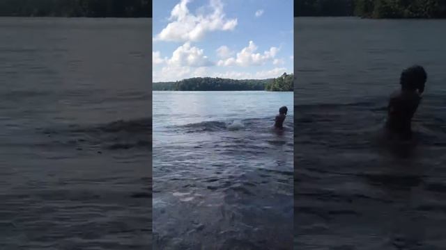 Help! What is this??? Dolphin, fish, whale, Loch Ness? Shocking rare footage of unique lake creatur