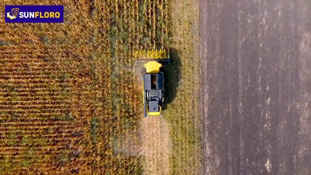 Кукурузная жатка ЖКИ 870