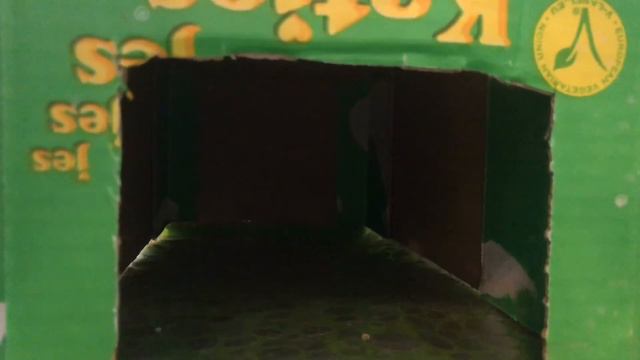 Жизнь кролика смотреть онлайн